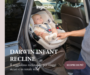 Inglesina Darwin Recline