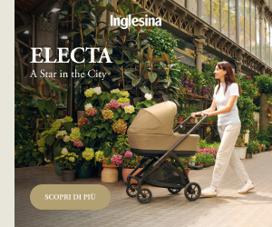 Inglesina System Electa