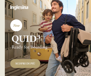 Inglesina Quid3