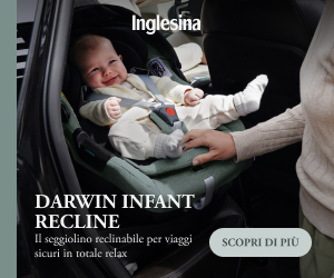 Inglesina Darwin Infant Recline