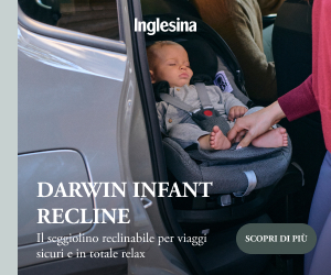 Inglesina Darwin Infant Recline System XT